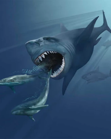 Sakana Sakana No Mi Model Megalodon One Piece Ship Of Fools Wiki Fandom