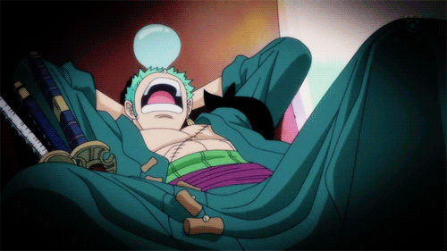 Zoro Sleep One Piece GIF