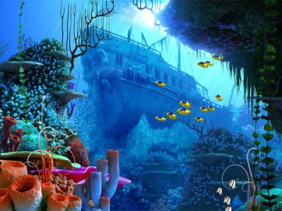 Anime, underwater, coral, bubbles, coral reef, biology, reef, screenshot,  computer , fractal art, invertebrate, marine biology, marine invertebrates,  organism, coral reef fish. Mocah HD wallpaper | Pxfuel