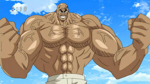 Shibo Shibo no Mi | One Piece: Ship of fools Wiki | Fandom