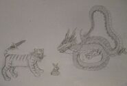 Zodiac 2.0 Spring: Tiger, Rabbit and Dragon.