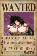 Hersoma's Wanted Poster