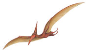 Pterodactyl