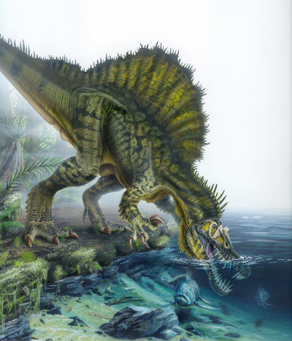 Dino Dino No Mi Model Spinosaurus One Piece Ship Of Fools Wiki Fandom Dino Dino No Mi Model Spinosaurus One Piece Ship Of Fools Wiki Fandom