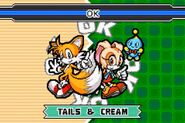 SonicAdvance3 Tails&Cream