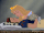 Snow White and Aurora by mssproductions 2.gif
