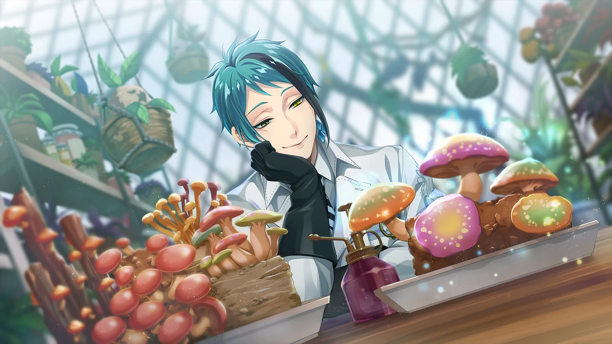 horitoys　'Jade Girl' sporeling horitoys 'Jade Girl' sporeling horitoys 'Jade Girl' sporeling P