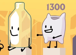 Bottle and Pillow