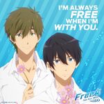 Makoharu Shipping Wiki Fandom See more ideas about makoto, makoto tachibana, free iwatobi. makoharu shipping wiki fandom