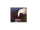 Vincharles graduation2.png
