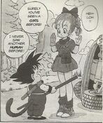 Dragon ball bloomers and the monkey king