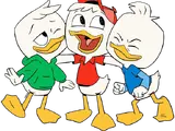 Duck Triplets