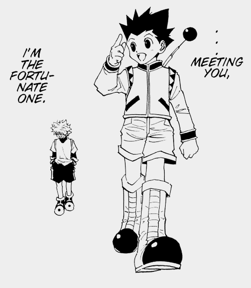 Hunter x Hunter: Why Gon and Killua may never return to the manga