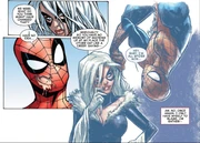 Spider-Man continues to want the Black Cat