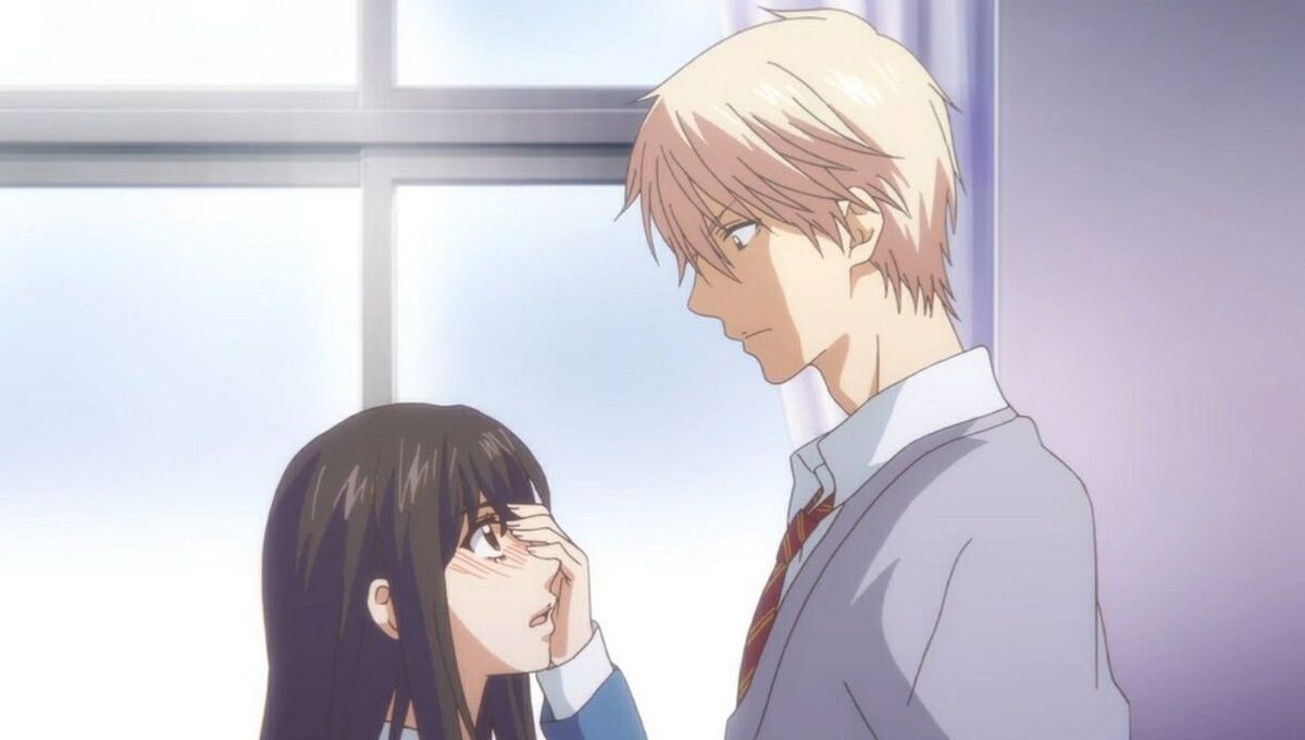 Fruits Basket (2019) – 10 – Random Curiosity