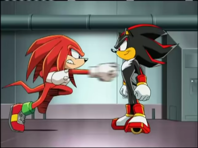 Why do some of the Sonic fans ship Sonic and Shadow? It doesn't