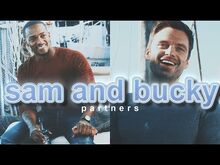 Sam and Bucky - Partners, Co-workers