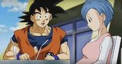 Goku visits pregnant Bulma