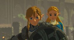 Link - Zelda BOTW