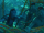 Aonunete2.gif