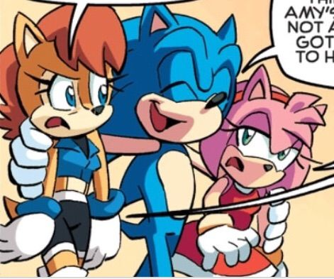 Amy Rose, Shipping Wiki