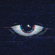 Harley sawyer’s eye