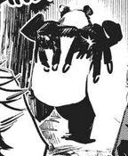 Panda carries Maki and Megumi