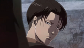Levi staring at Erwin