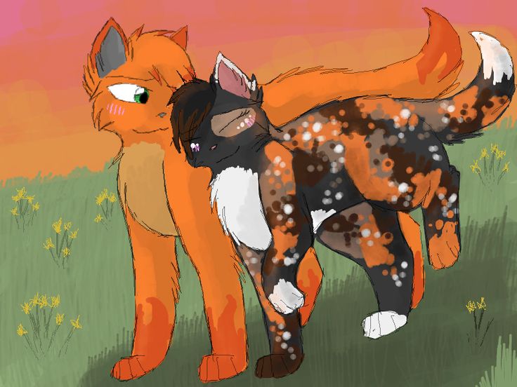 firestar and sandstorm and spottedleaf