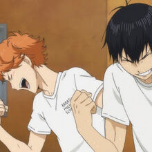 Kagehina Shipping Wiki Fandom Kageyama turned to follow, but felt a rapid tugging on his suit sleeve. kagehina shipping wiki fandom