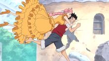 Luffy Takes Rebecca to her Fath