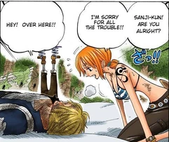 Nami Concerned Over Sanji