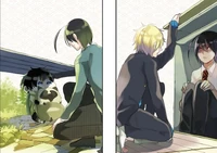 SanoHaru Volume 5 Flaps