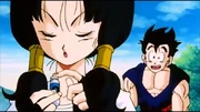 Videl returns home