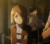 Levi and Petra broom shopping