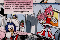 Sonic144 Sonic Underground on tour