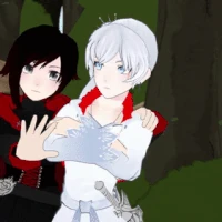 White Rose Shipping Wiki Fandom Winter night wallpaper hd download free. white rose shipping wiki fandom