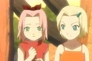 Sakura becomes attached to Ino.