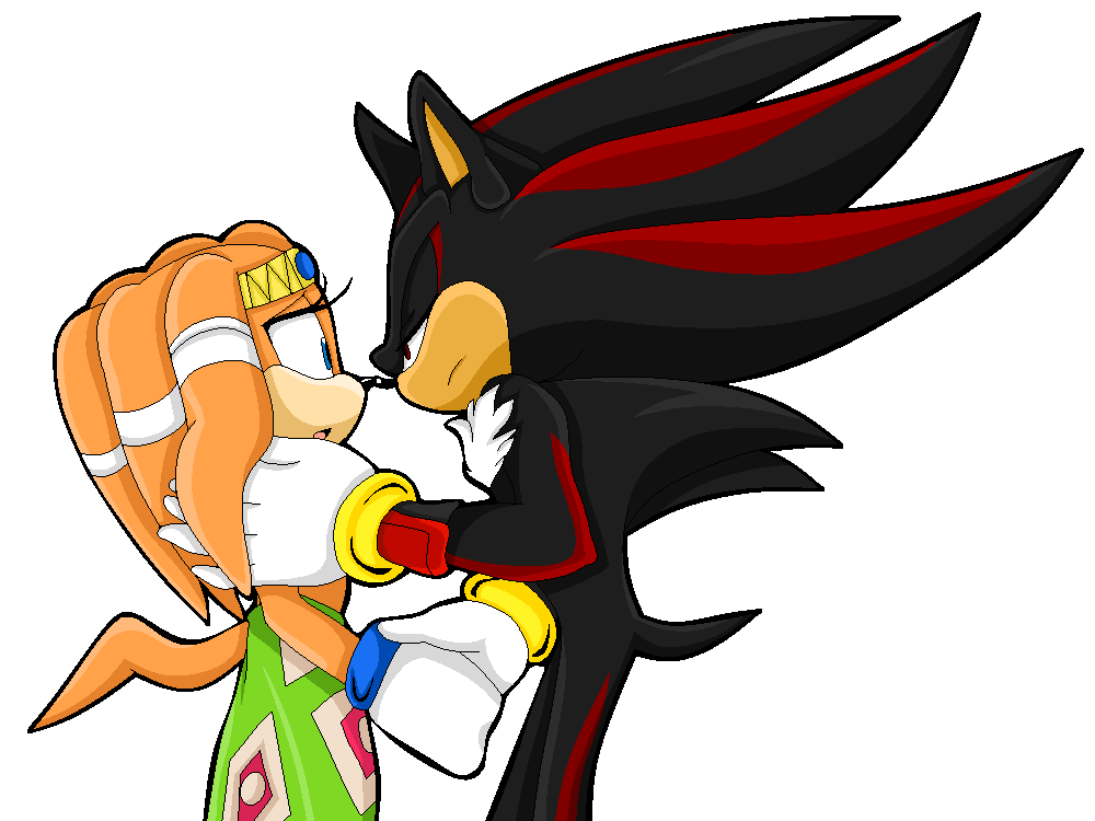 Shadow the Hedgehog, Shipping Wiki