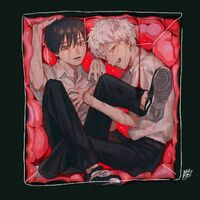 in a meat cube together
