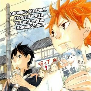 Kagehina Shipping Wiki Fandom However, in episode 5, the pair had a huge argument that almost escalated into a fistfight. kagehina shipping wiki fandom