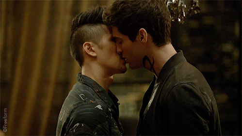 the mortal instruments city of bones alec and magnus