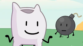 Pillow and Bomby
