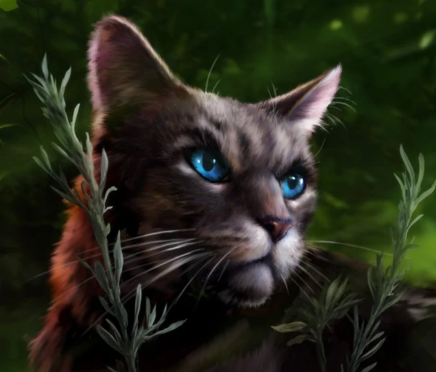 Me if I was a warrior cat (from a book series) BluFire