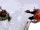 Winter Widow/Gallery
