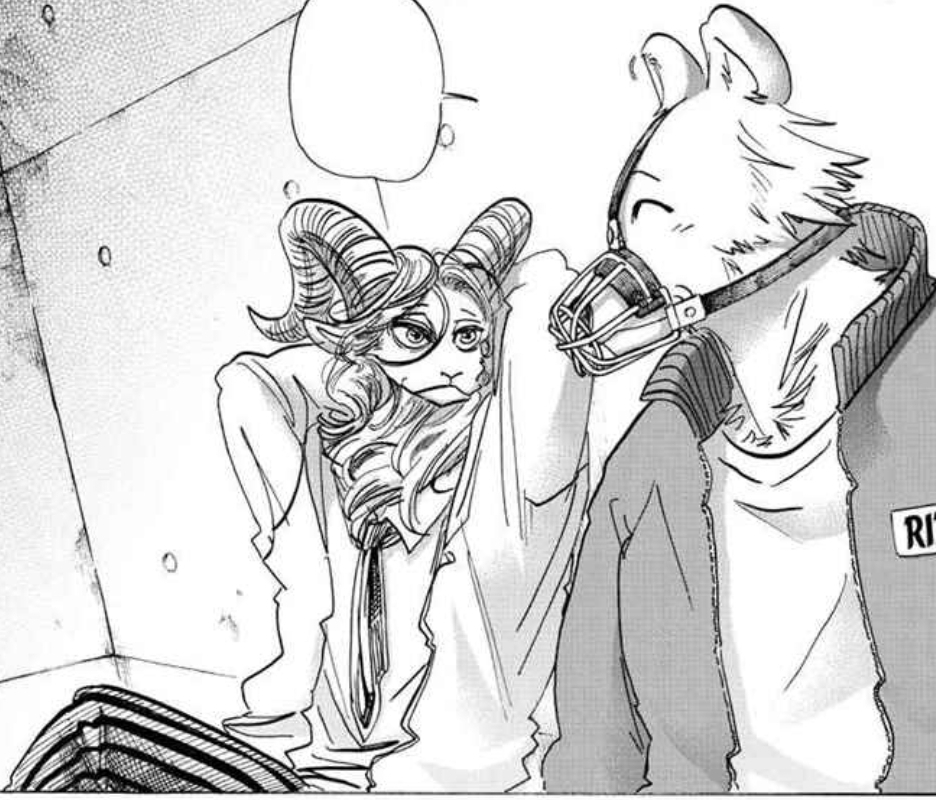 Legosi and riz new arrivals