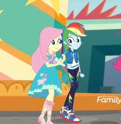 FlutterDash | Shipping Wiki | Fandom