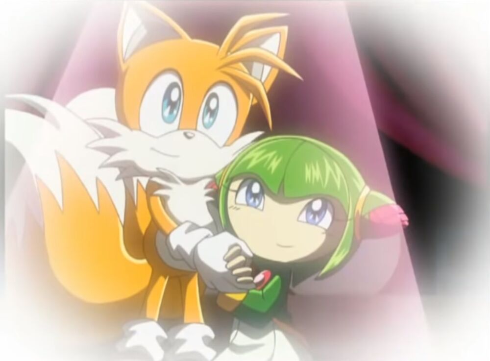 Tailsmo Shipping Wiki Fandom Tailsmo Shipping Wiki Fandom