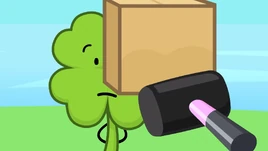Clover and Box