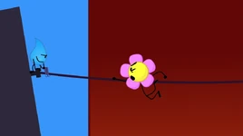 Flower and TD